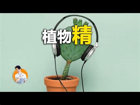 植物 意思